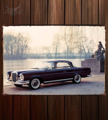 Металлическая табличка Mercedes-Benz 220 SE Coupe (W111)